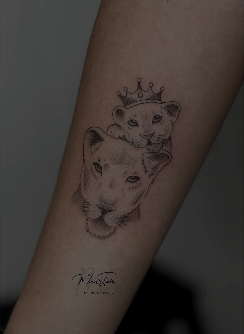 Tatuaje de leona y cachorro con corona en el antebrazo, realizado en Moon Studio